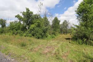 468 Middle Road Delanson, NY 12107