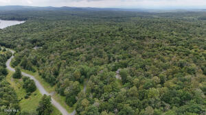 L44.141 Sylvan Way Cropseyville, NY 12052
