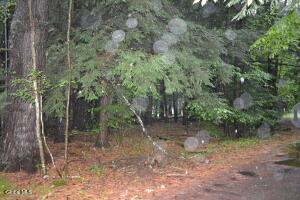 0 Stable Drive Lake Luzerne, NY 12846