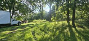 2325 Delaware Turnpike New Scotland, NY 12186
