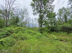 L28.03 Halbert Hill Road South New Berlin, NY 13843