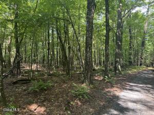 1338 River Road North Creek, NY 12853