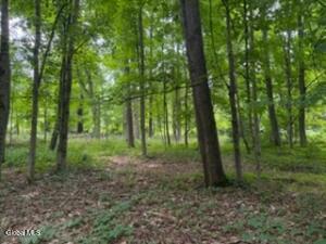 5 Frasier Road Greenfield Center, NY 12833