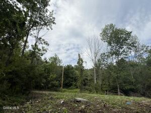 1536 North Road North Blenheim, NY 12131