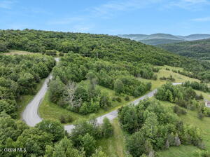 L40 Overlook Drive Prattsville, NY 12452