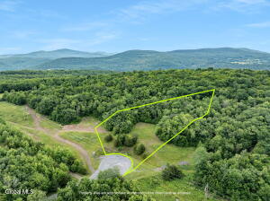 L39 Overlook Drive Prattsville, NY 12452