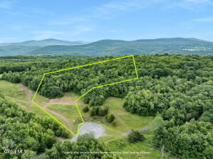 L35 Overlook Drive Prattsville, NY 12452