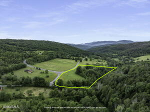 L29 Route 2 Prattsville, NY 12452