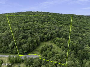 L28.2 Deer Lane Prattsville, NY 12452