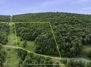 L28.1 Deer Lane Prattsville, NY 12452