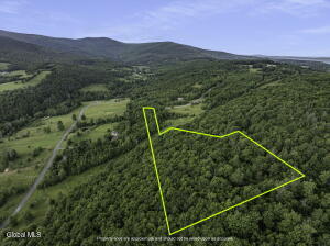 L20.2 Overlook Drive Prattsville, NY 12452