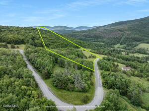 L19.2 Overlook Drive Prattsville, NY 12452