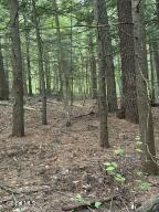 344 Dickinson Hill Road Bolton, NY 12824