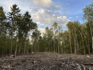 204 Crandall Road Petersburgh, NY 12138
