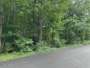 L28 Carl Avenue, Greenwich, NY 12834