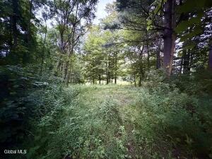 2-38.11 Spring Avenue, Gloversville, NY 12078