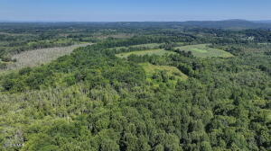 L01 Fox Hollow Lane Hopewell Junction, NY 12533