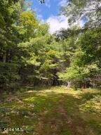 218 Irish Hill Road East Berne, NY 12059