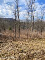 890 Altamont Road, Altamont, NY 12009