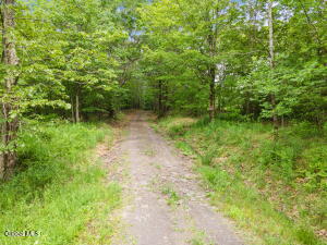 255 Lassen Road Middleburgh, NY 12122