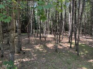 45 Hidden Valley Road Lake Luzerne, NY 12846