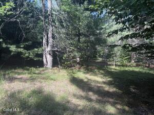 375 Ormsbee Road Porter Corners, NY 12859