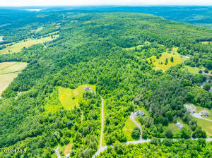 L4.3 Cass Hill Road New Scotland, NY 12186