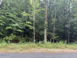 L34.3 Parker Cross Road Thurman, NY 12885