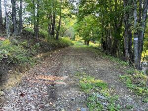 L1.12 Rossman Fly Road Summit, NY 12175