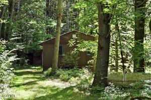 172 Green Street Saint Johnsville, NY 13452