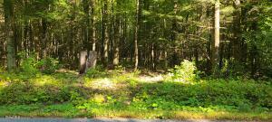 395 Cook Road Essex, NY 12936