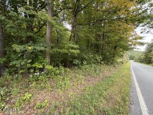 1542 Co Rd 21 Whitehall, NY 12887