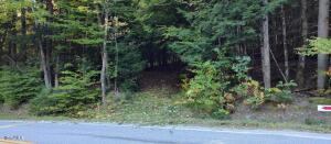 L-17.112 Hoffman Road Schroon Lake, NY 12870