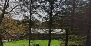 1162 County Route 22 Altmar, NY 14411