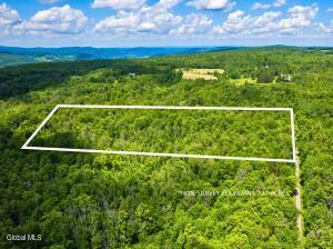 L4.112 Anderson Road Broome, NY 12122