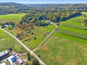 L1.3 N Harpersfield Road Jefferson, NY 12093