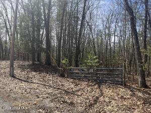 L19.22 Homestead Road Saratoga Springs, NY 12866