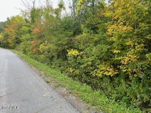 L24.2 Goewey Road Fultonville, NY 12072