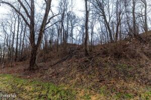 94 Briar Avenue Albany, NY 12203