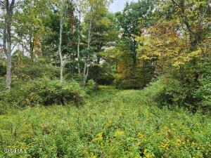 L15.4 Bogtown Road Salem, NY 12865