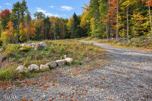 L11.231 Valentine Pond Road Pottersville, NY 12860